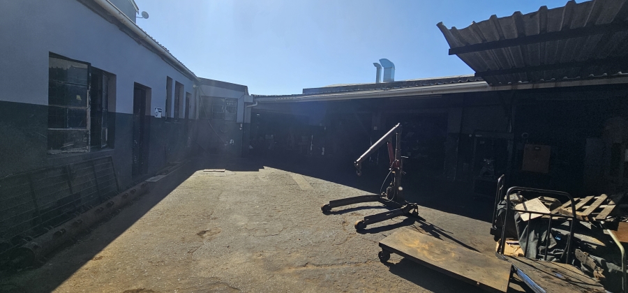 Commercial Property for Sale in Arcadia Eastern Cape